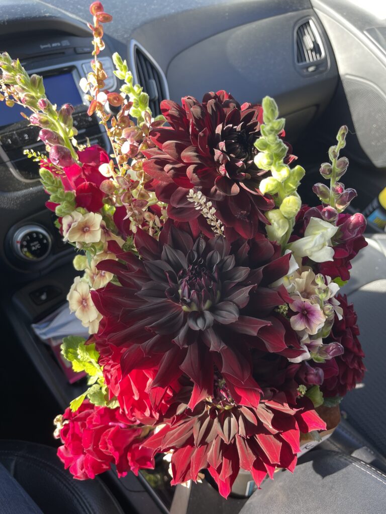 Close-up view of a beautiful bouquet of red dahlias. 