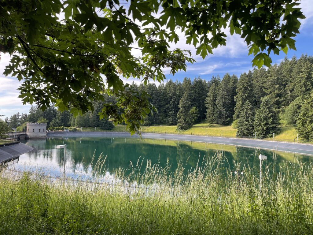 Reservoir #5 at the top of Mt. Tabor Park in Portland, Oregon, featuring a very blue sky and very green trees and grass. The reflection of the sky and trees in the water makes it appear a rich blue-green. 